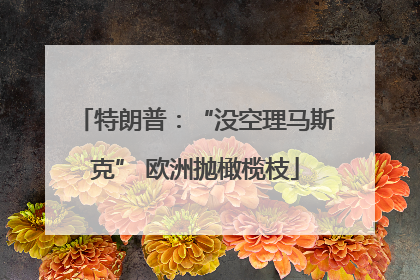 特朗普：“没空理马斯克” 欧洲抛橄榄枝
