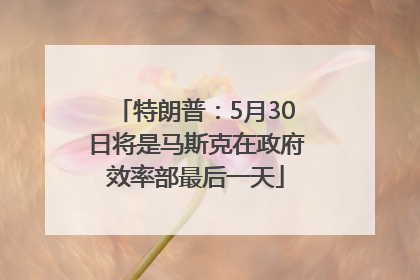 特朗普：5月30日将是马斯克在政府效率部最后一天