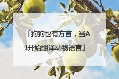 狗狗也有方言，当AI开始翻译动物语言