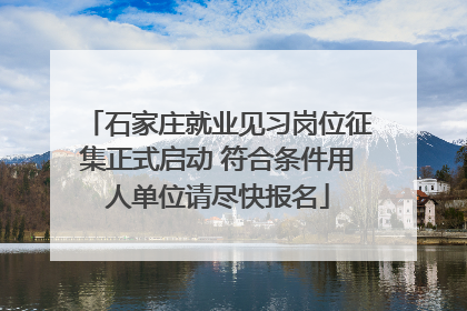 石家庄就业见习岗位征集正式启动 符合条件用人单位请尽快报名