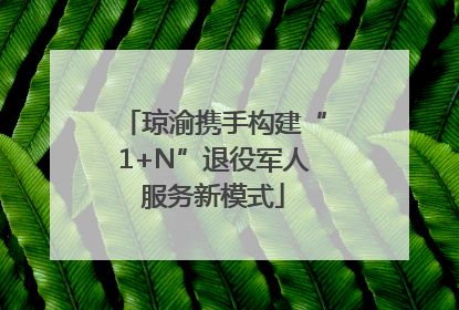 琼渝携手构建“1+N”退役军人服务新模式