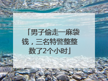 男子偷走一麻袋钱，三名特警整整数了2个小时