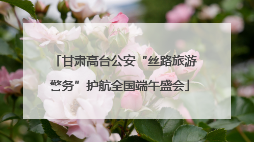 甘肃高台公安“丝路旅游警务”护航全国端午盛会