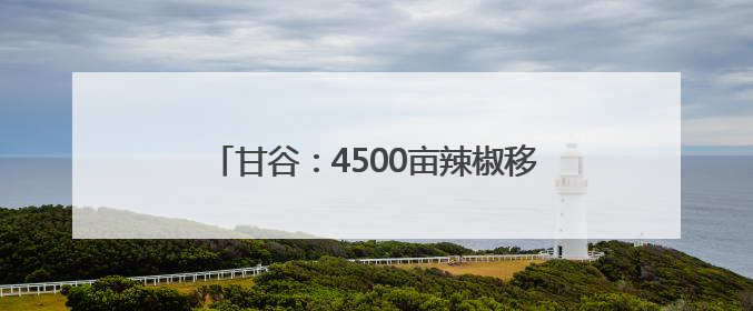 甘谷：4500亩辣椒移栽忙 特色产业助增收