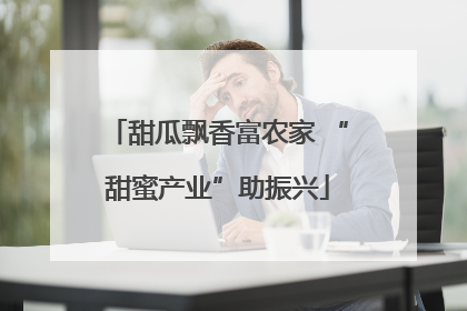 甜瓜飘香富农家 “甜蜜产业”助振兴