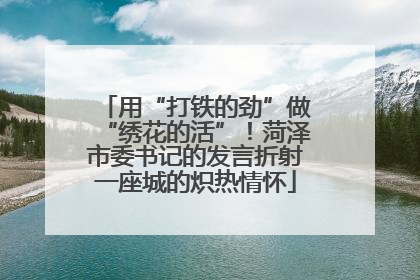 用“打铁的劲”做“绣花的活”！菏泽市委书记的发言折射一座城的炽热情怀