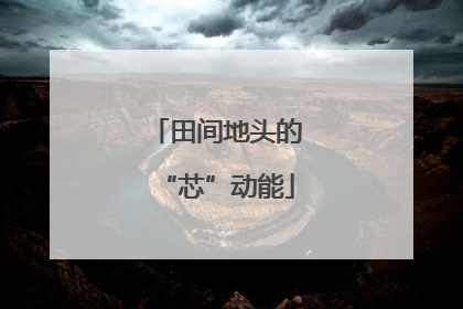 田间地头的“芯”动能
