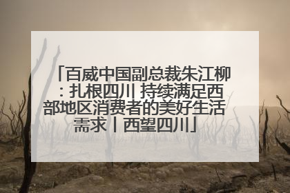 百威中国副总裁朱江柳：扎根四川 持续满足西部地区消费者的美好生活需求丨西望四川