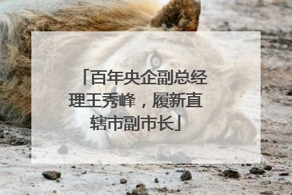 百年央企副总经理王秀峰，履新直辖市副市长