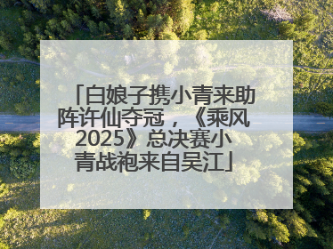 白娘子携小青来助阵许仙夺冠，《乘风2025》总决赛小青战袍来自吴江