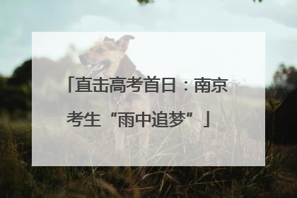 直击高考首日：南京考生“雨中追梦”