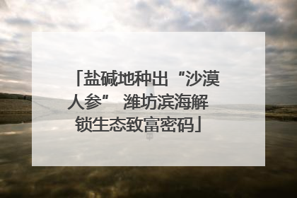 盐碱地种出“沙漠人参” 潍坊滨海解锁生态致富密码