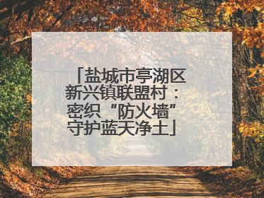 盐城市亭湖区新兴镇联盟村：密织“防火墙”守护蓝天净土