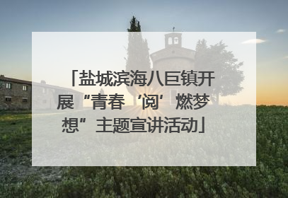 盐城滨海八巨镇开展“青春‘阅’燃梦想”主题宣讲活动