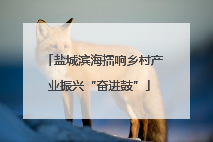 盐城滨海擂响乡村产业振兴“奋进鼓”