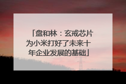 盘和林：玄戒芯片为小米打好了未来十年企业发展的基础