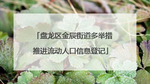 盘龙区金辰街道多举措推进流动人口信息登记