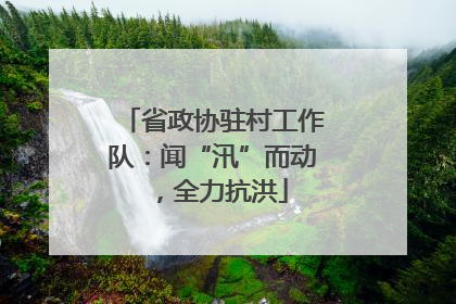省政协驻村工作队：闻“汛”而动，全力抗洪