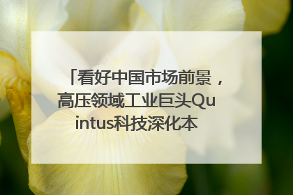 看好中国市场前景，高压领域工业巨头Quintus科技深化本土策略，构建全方位服务亚太区总部