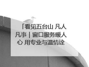 看见五台山 凡人凡事｜窗口服务暖人心 用专业与温情诠释责任担当
