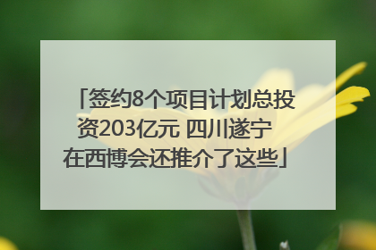 签约8个项目计划总投资203亿元 四川遂宁在西博会还推介了这些