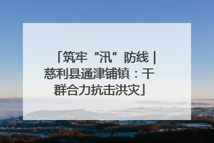 筑牢“汛”防线｜慈利县通津铺镇：干群合力抗击洪灾