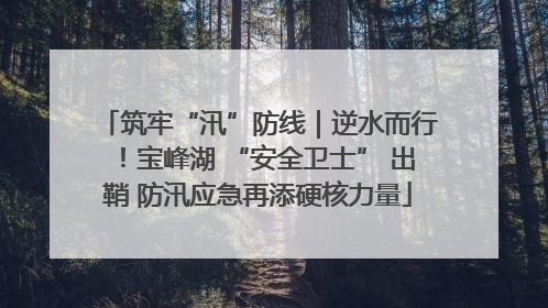 筑牢“汛”防线｜逆水而行！宝峰湖 “安全卫士” 出鞘 防汛应急再添硬核力量