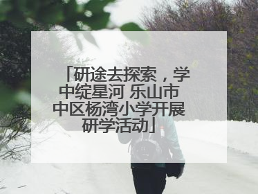 研途去探索，学中绽星河 乐山市中区杨湾小学开展研学活动