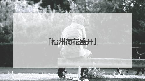福州荷花盛开