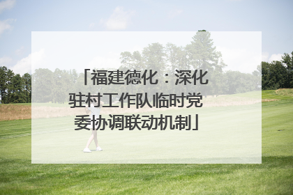 福建德化：深化驻村工作队临时党委协调联动机制