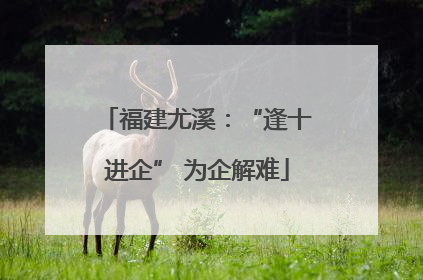 福建尤溪：“逢十进企” 为企解难