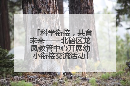 科学衔接，共育未来——北碚区龙凤教管中心开展幼小衔接交流活动