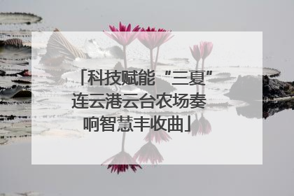 科技赋能“三夏” 连云港云台农场奏响智慧丰收曲