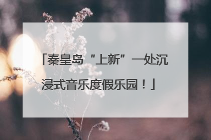 秦皇岛“上新”一处沉浸式音乐度假乐园！