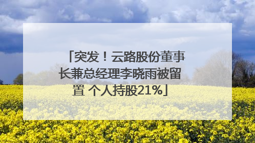突发！云路股份董事长兼总经理李晓雨被留置 个人持股21%