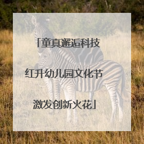 童真邂逅科技 红升幼儿园文化节激发创新火花