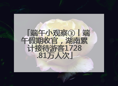 端午小观察③丨端午假期收官，湖南累计接待游客1728.81万人次