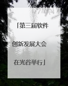 第三届软件创新发展大会在光谷举行