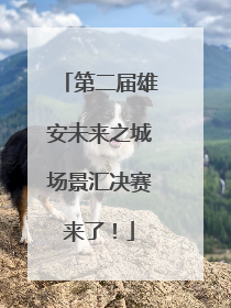 第二届雄安未来之城场景汇决赛来了！