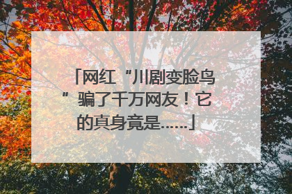 网红“川剧变脸鸟”骗了千万网友！它的真身竟是……