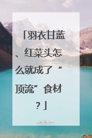 羽衣甘蓝、红菜头怎么就成了“顶流”食材？