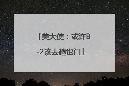 美大使：或许B-2该去趟也门