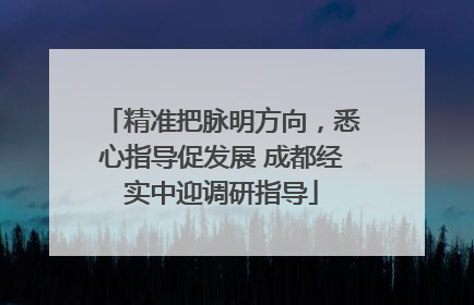 精准把脉明方向，悉心指导促发展 成都经实中迎调研指导