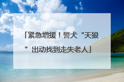 紧急增援！警犬“天狼”出动找到走失老人