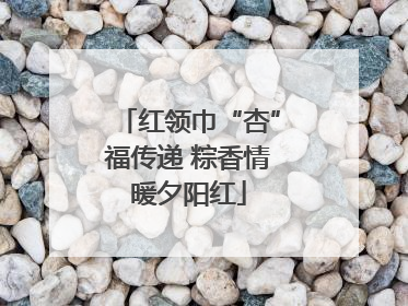 红领巾“杏”福传递 粽香情暖夕阳红