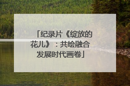 纪录片《绽放的花儿》：共绘融合发展时代画卷