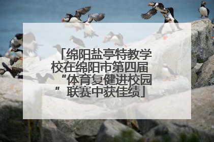 绵阳盐亭特教学校在绵阳市第四届“体育复健进校园”联赛中获佳绩