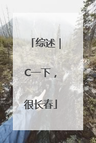 综述｜C一下，很长春