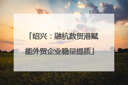 绍兴：融杭数贸港赋能外贸企业稳量提质