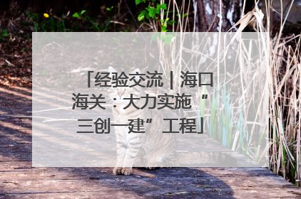 经验交流｜海口海关：大力实施“三创一建”工程